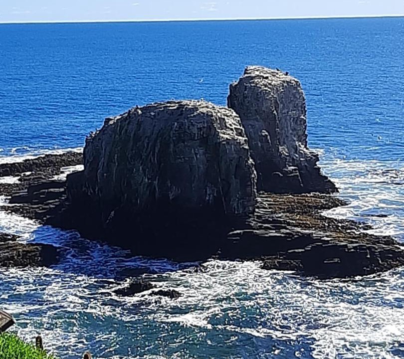 Photo of Others in Pichilemu