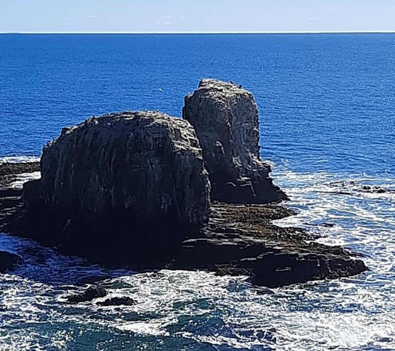 Photo of Others in Pichilemu