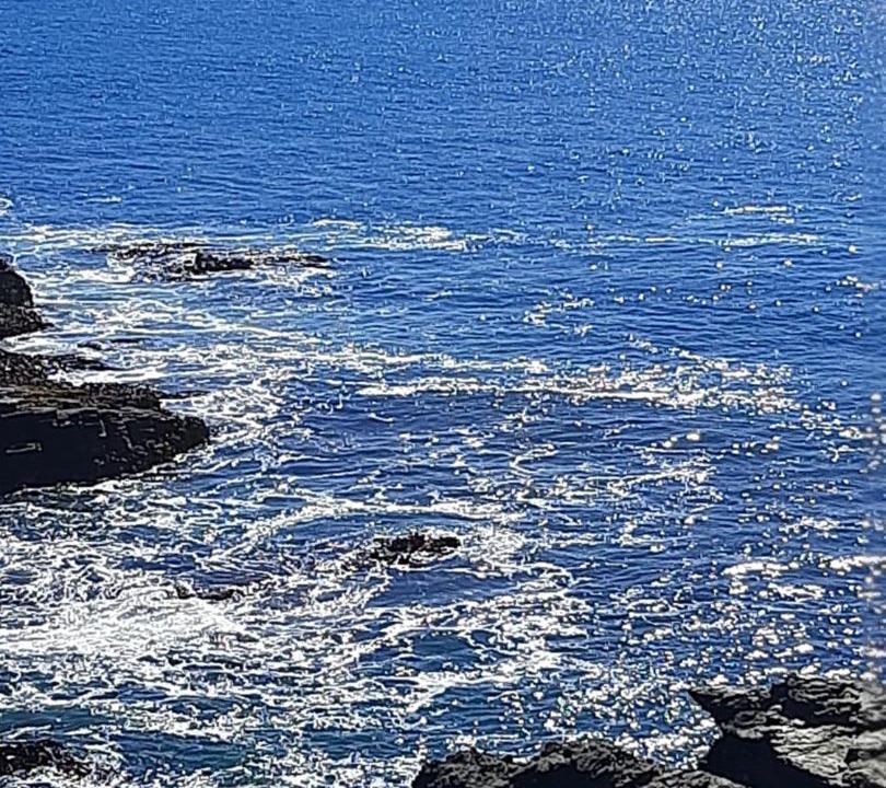 Photo of Others in Pichilemu