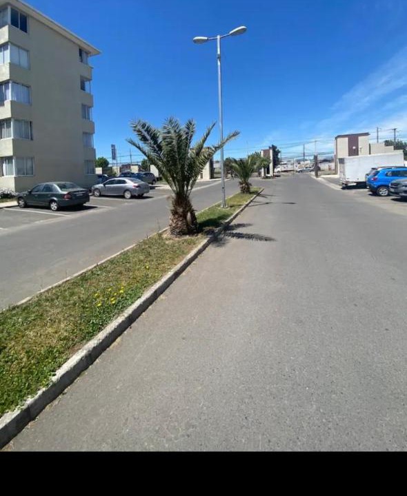 Photo of Others in Curico