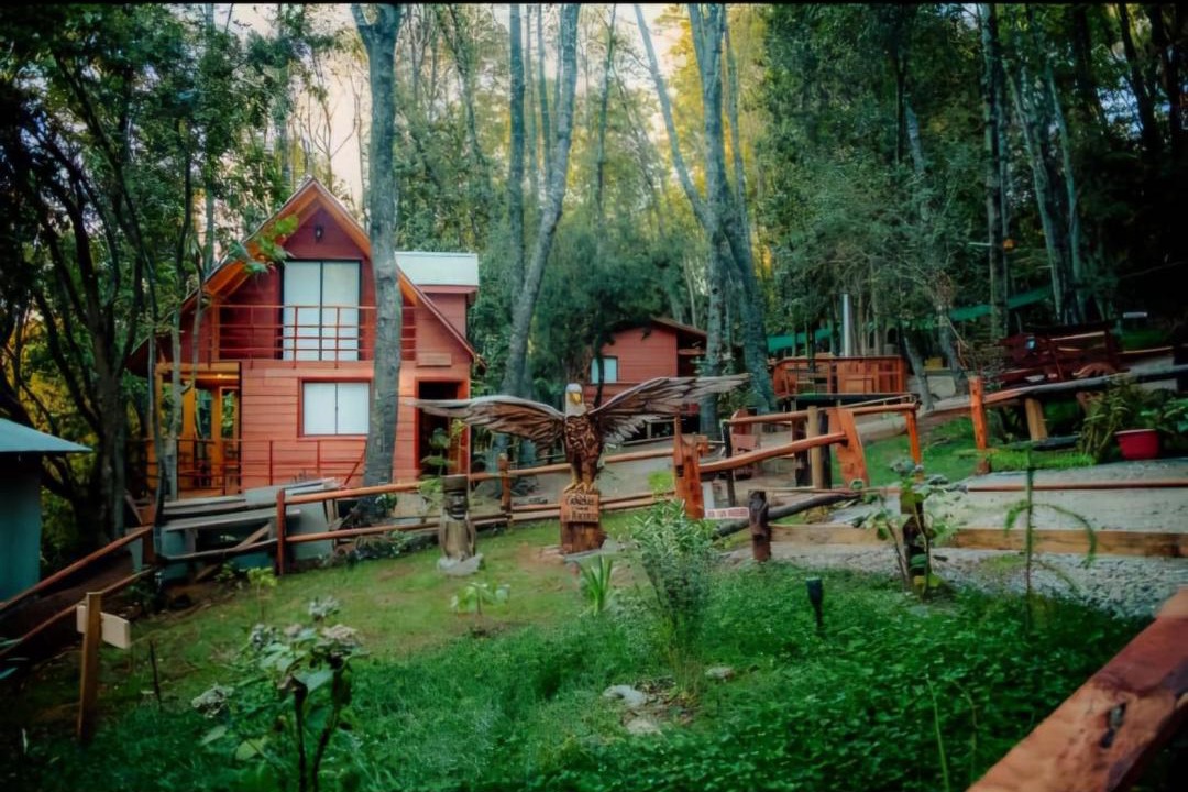 Photo of Others in Casa de Lata