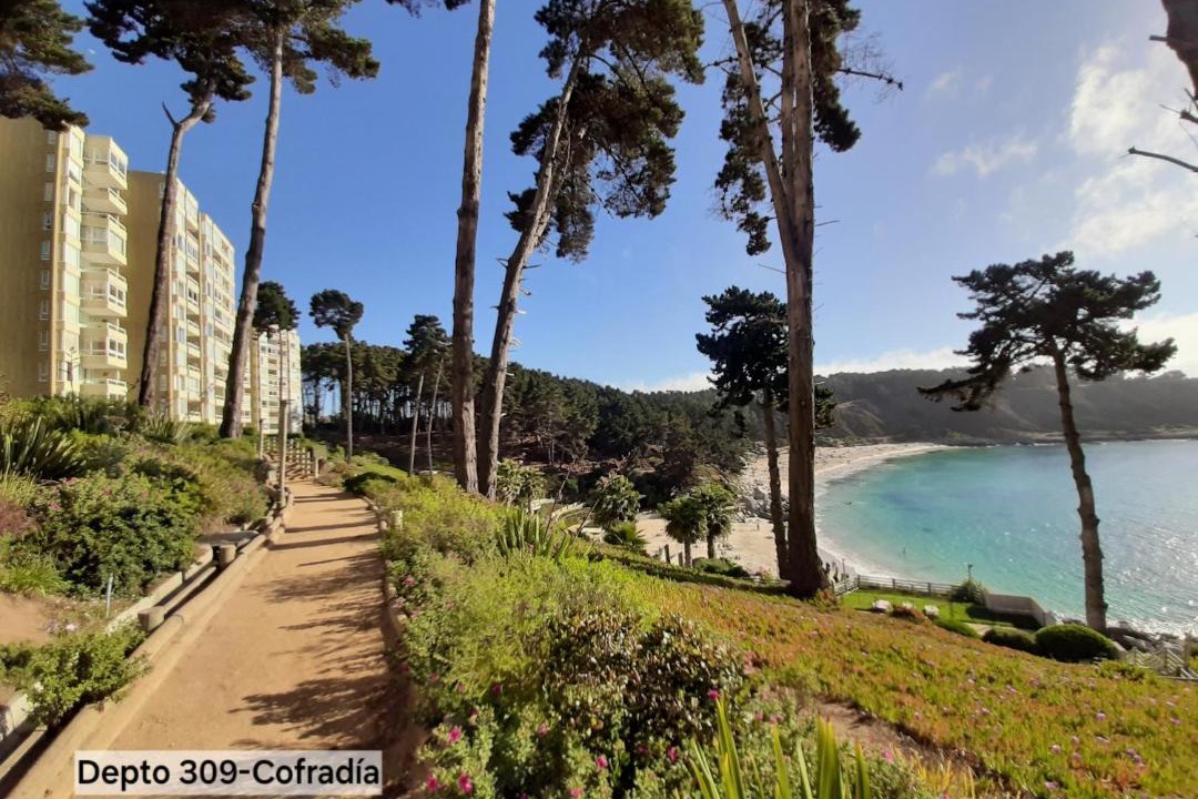 Photo of Others in Algarrobo