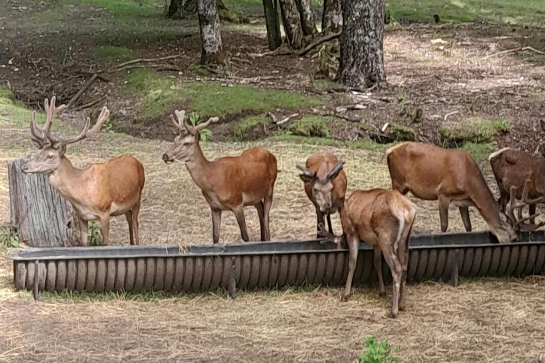 Photo of Others in Neltume