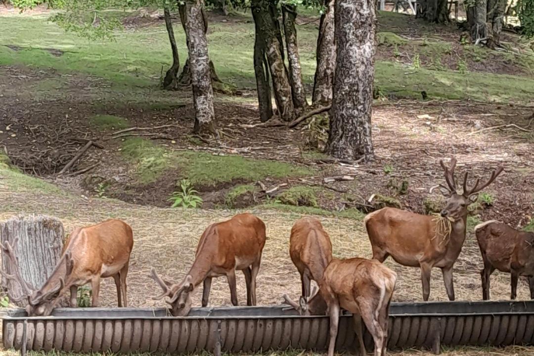 Photo of Others in Neltume