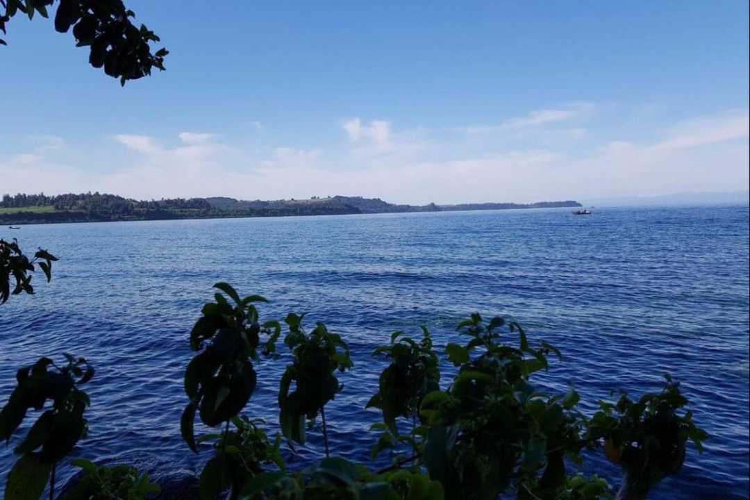 Photo of Others in Llanquihue