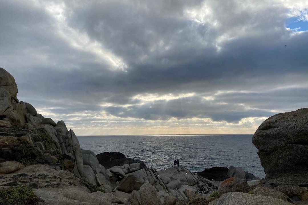Photo of Others in Isla Negra