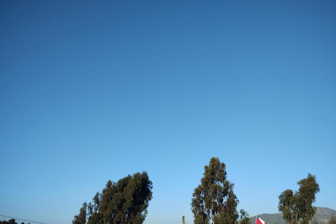 Photo of Others in Quintero