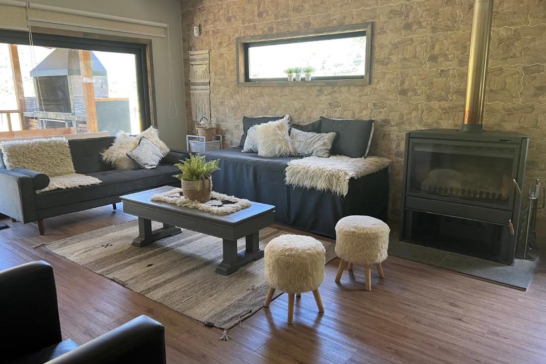 Photo of Livingroom in Malalcahuello
