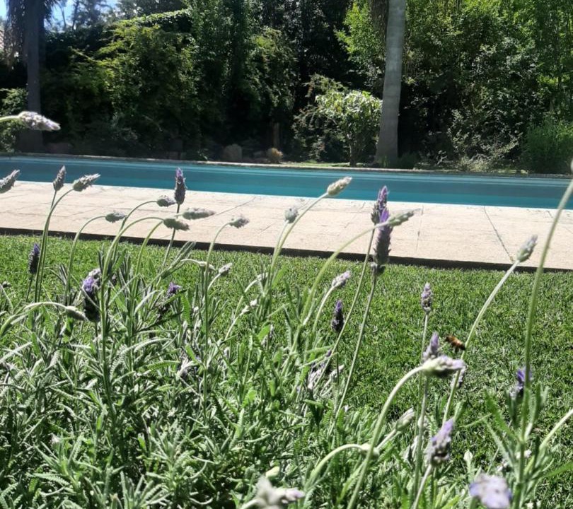 Photo of Others in Villa Udaondo