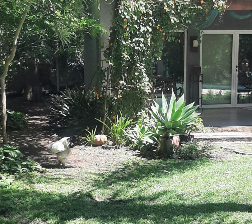 Photo of Others in Villa Udaondo