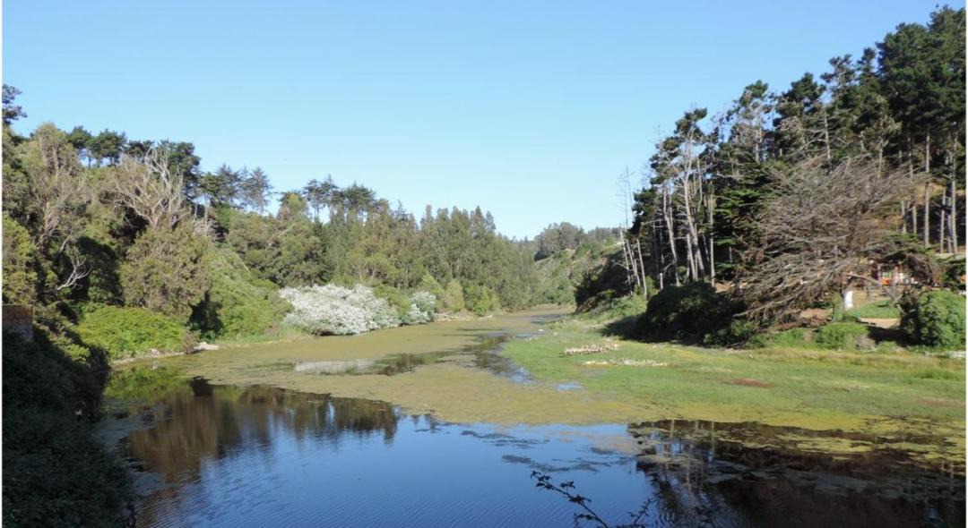 Photo of Outdoor in El Tabo