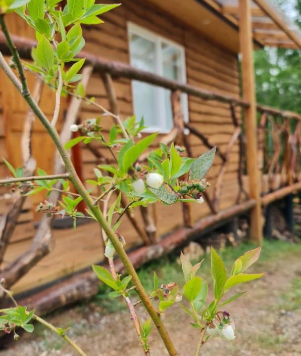 Photo of Others in Gorbea
