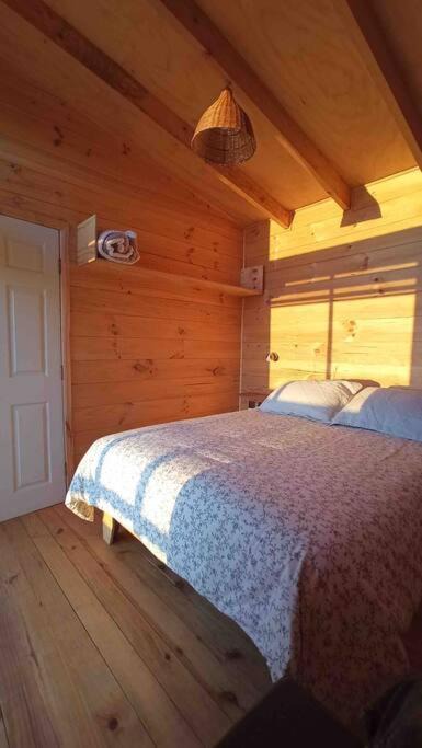 Photo of Bedroom in Pelluhue