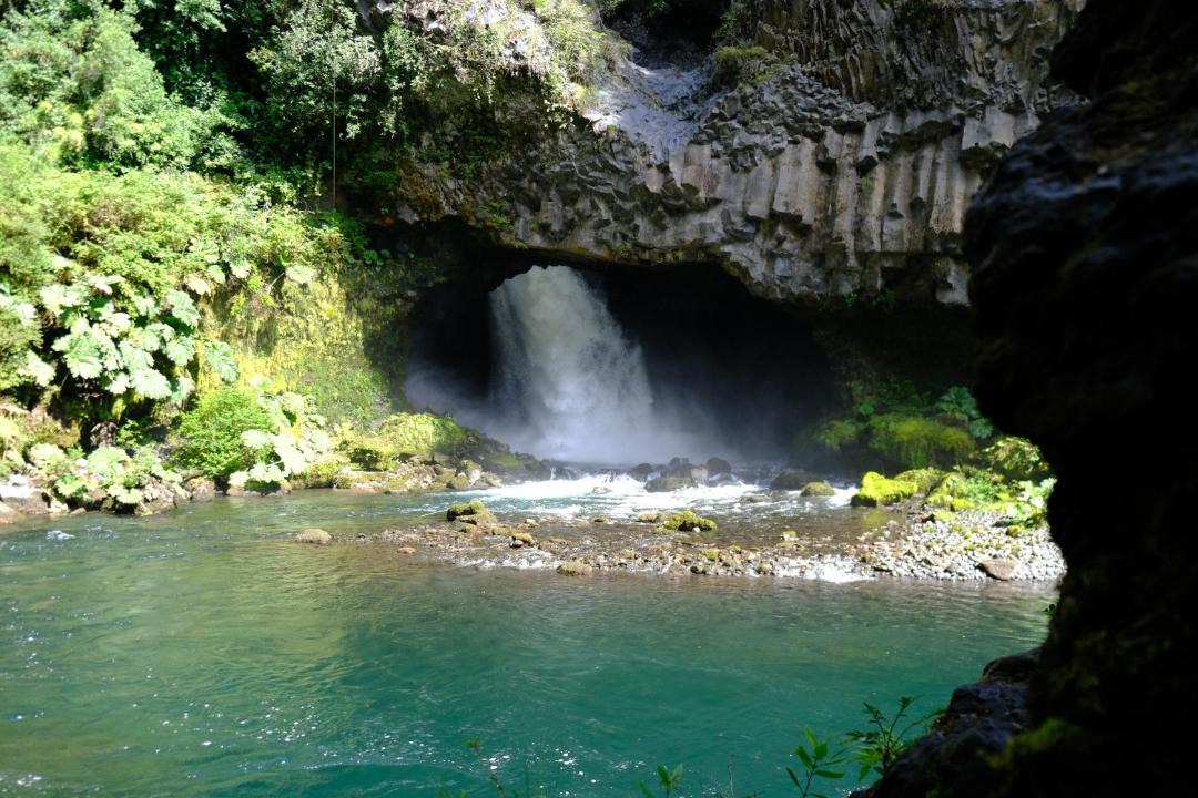 Photo of Others in Palguin Alto