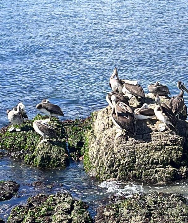 Photo of Others in Caldera