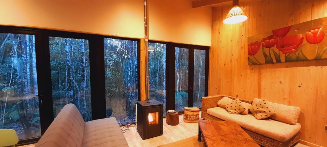 Photo of Livingroom in Puerto Varas