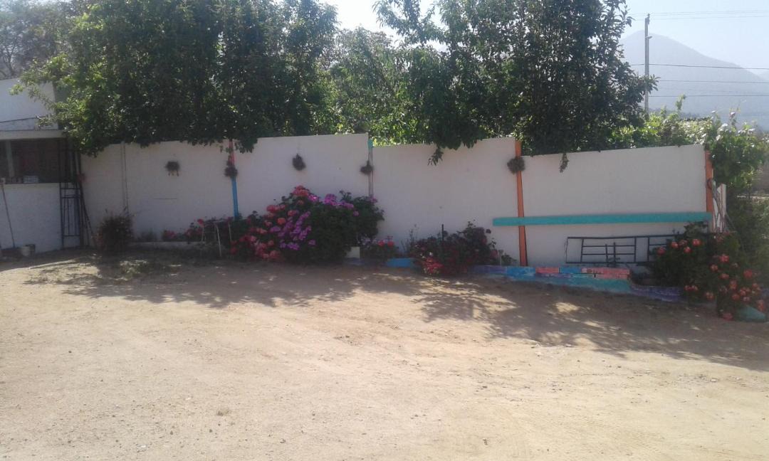 Photo of Others in Olmue