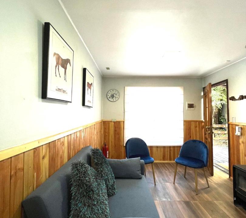 Photo of Livingroom in Lican Ray