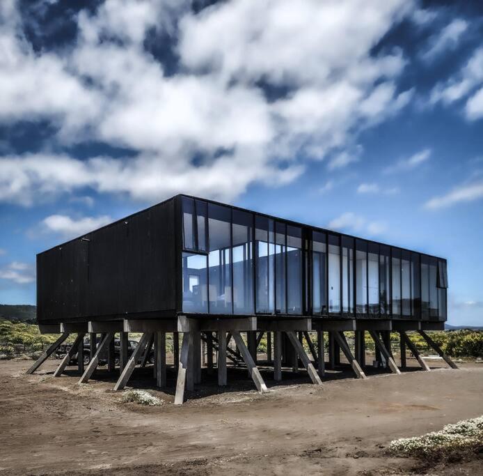 Photo of Others in Pichilemu