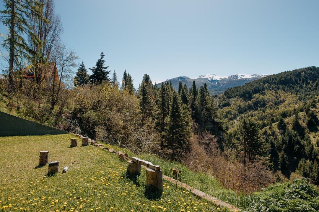 Photo of Others in Coyhaique