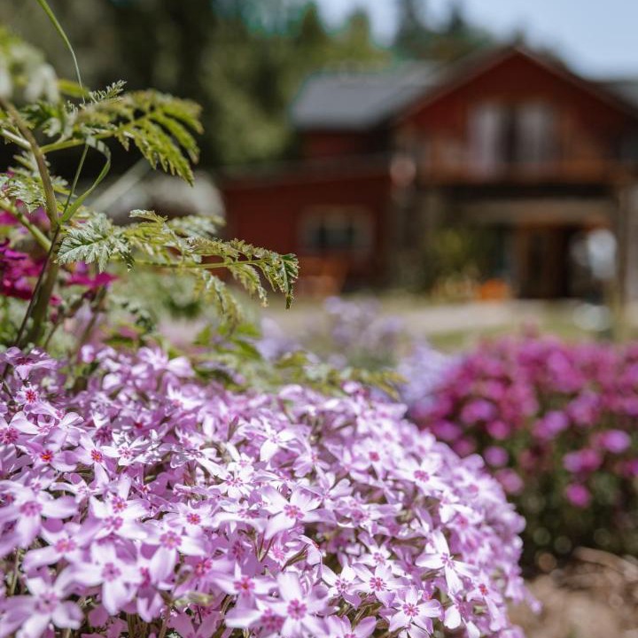 Photo of Others in San Carlos de Bariloche
