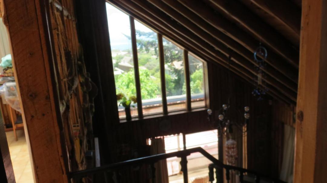 Photo of Others in Isla Negra
