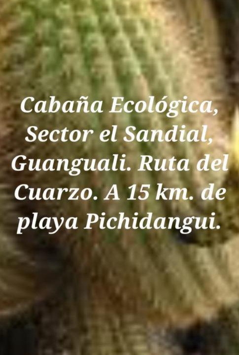 Photo of Others in Guanguali