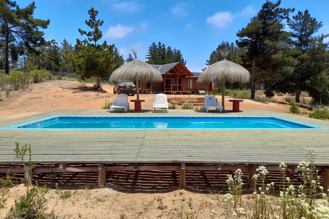 Photo of Others in Algarrobo