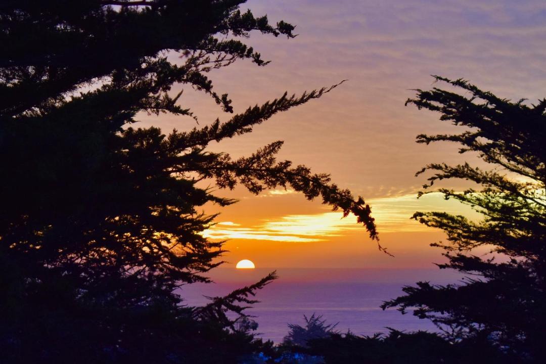 Photo of Others in Pichilemu