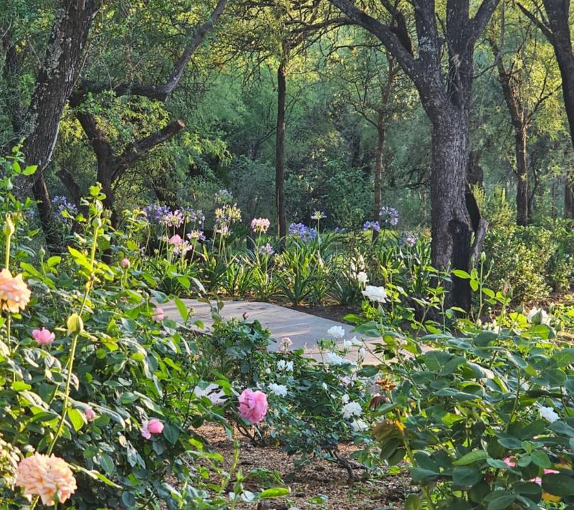 Photo of Others in Las Rosas