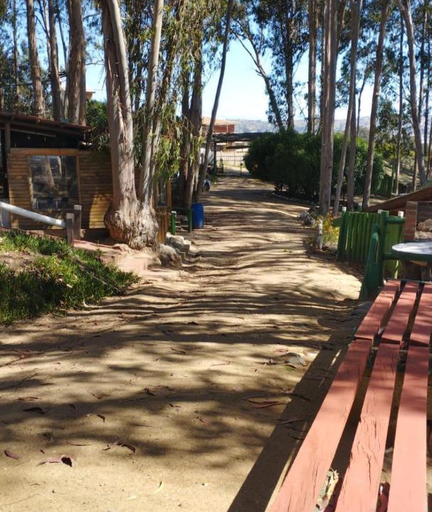 Photo of Others in Cartagena