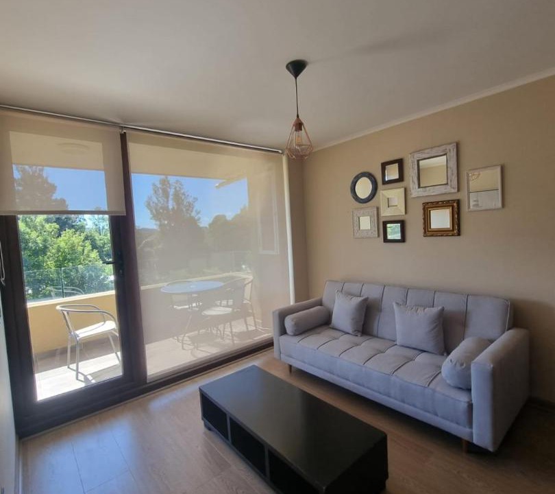Photo of Livingroom in Villarrica
