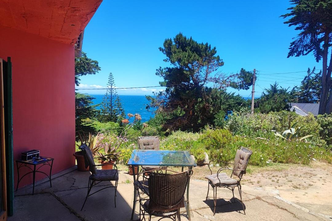 Photo of Others in Isla Negra
