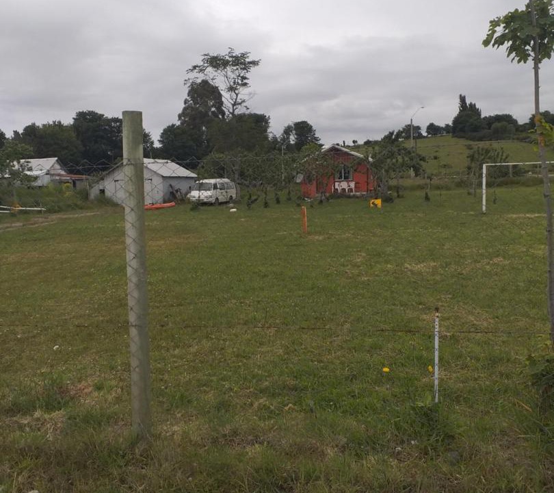 Photo of Others in Puerto Montt