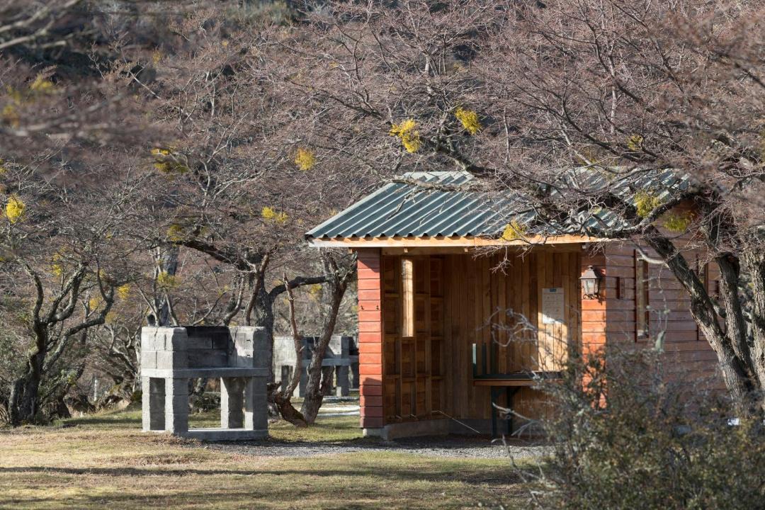 Photo of Others in Torres Del Paine