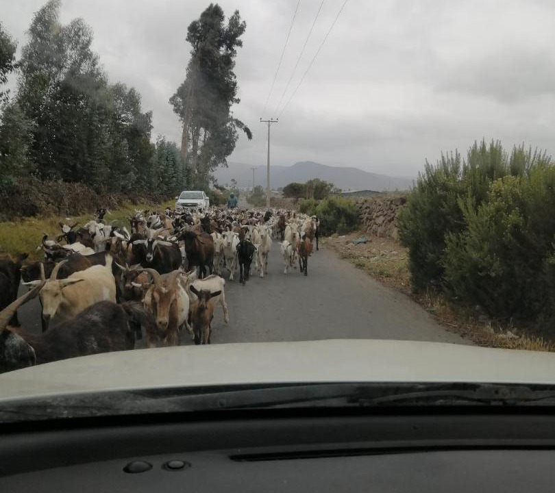 Photo of Others in La Serena