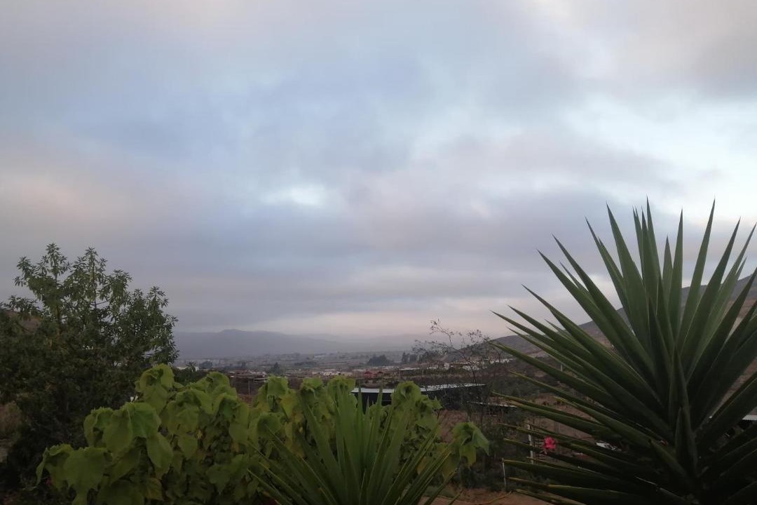 Photo of Others in La Serena