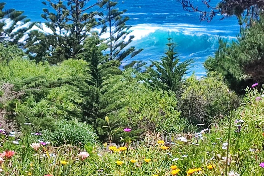 Photo of Others in Isla Negra