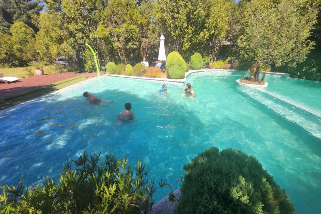 Photo of Others in Pucon