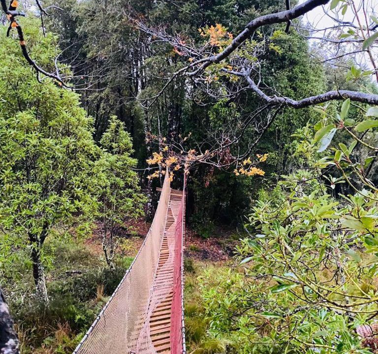 Photo of Others in Ancud