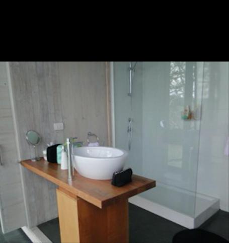 Photo of Bathroom in Panguipulli