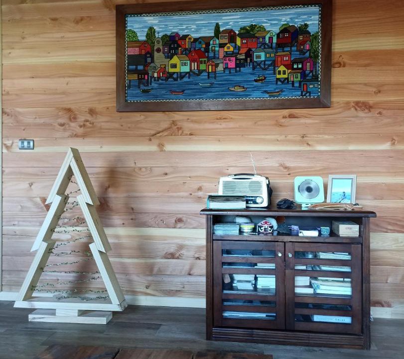 Photo of Others in Panguipulli