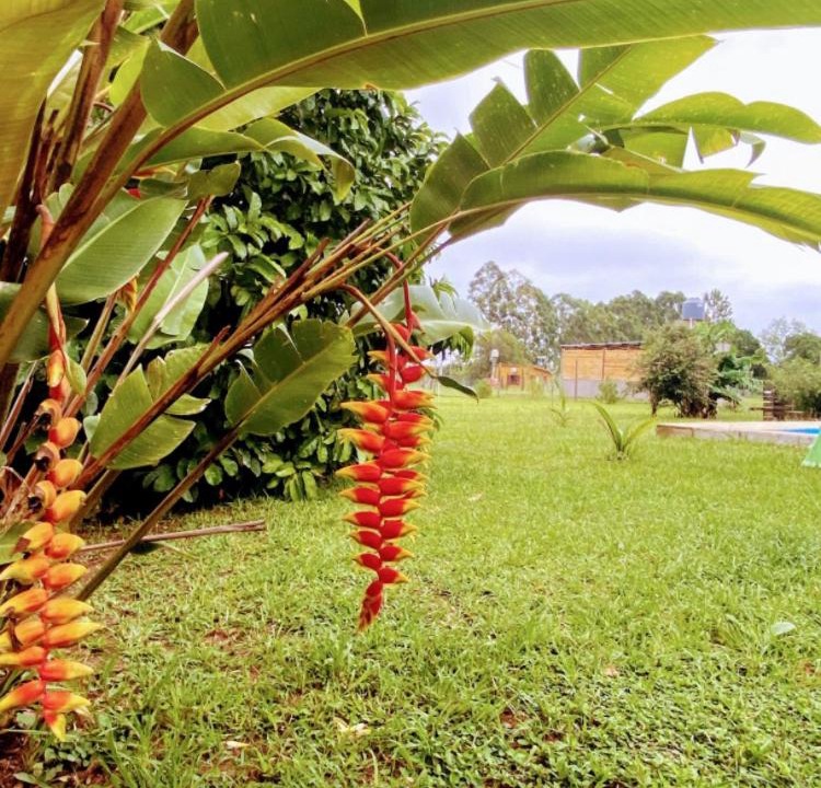 Photo of Others in Puerto Valle