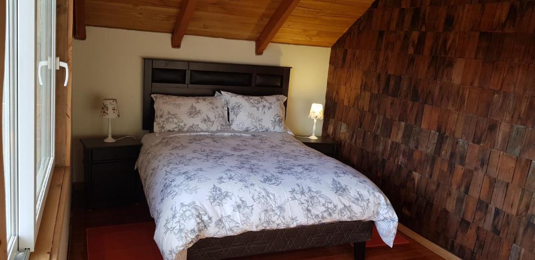 Photo of Others in Puyehue