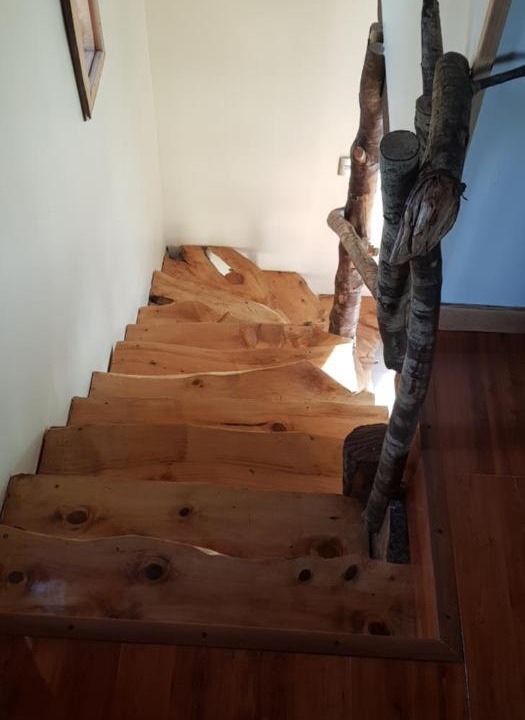Photo of Others in Puyehue
