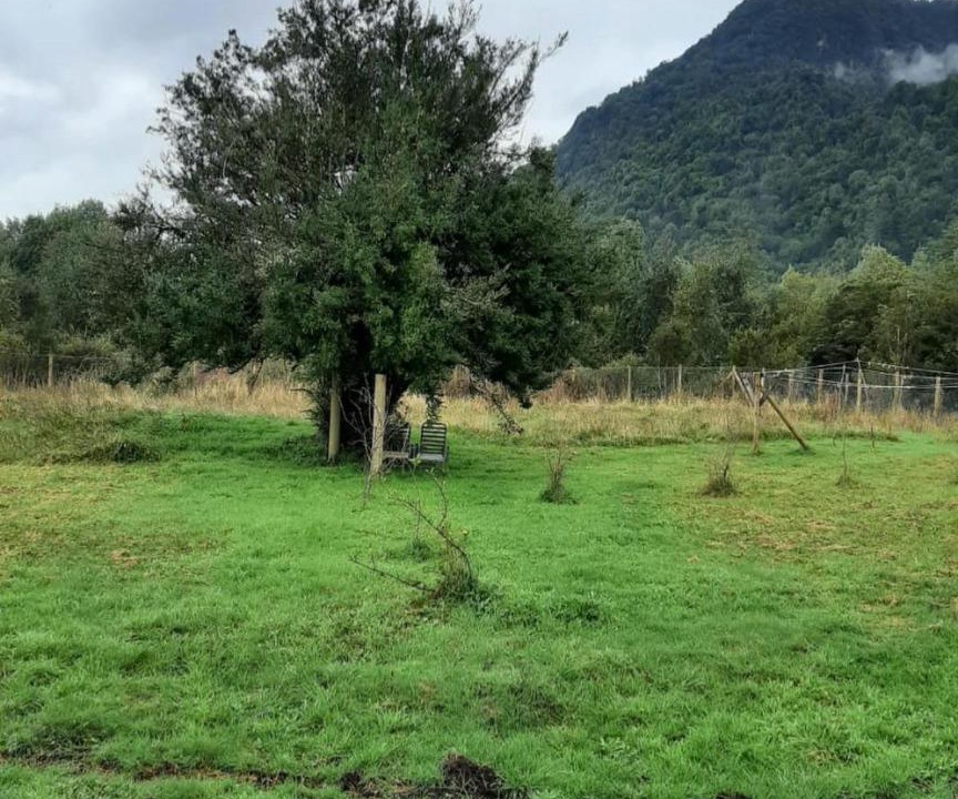 Photo of Others in Hornopiren National Park