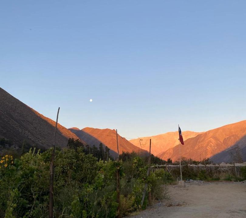 Photo of Others in Vicuna