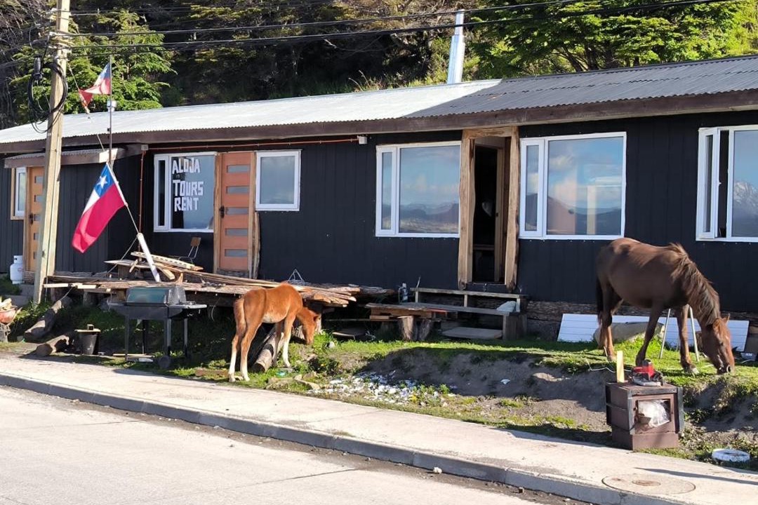 Photo of Others in Puerto Williams