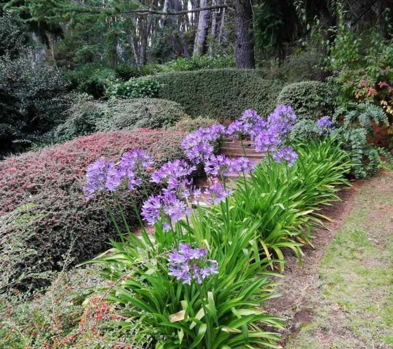 Photo of Others in Nahuel Huapi