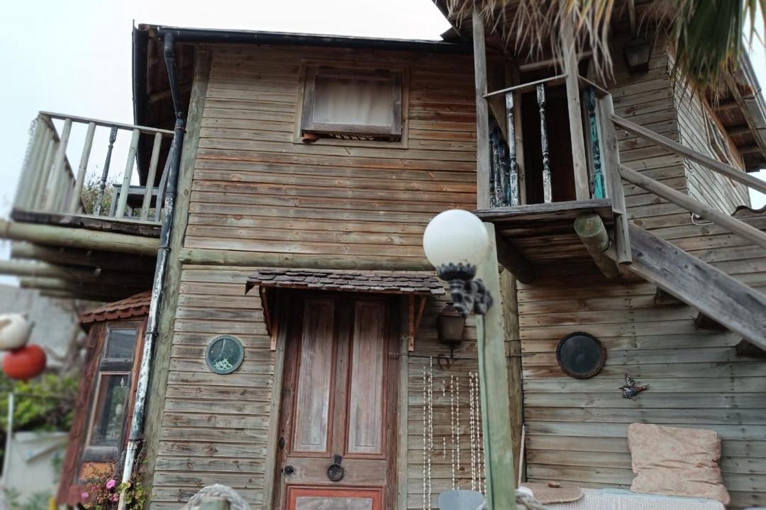 Photo of Others in La Laguna